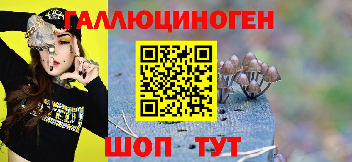 Волхов  Галлюциногенные грибы ЛСД  Вход с VPN 