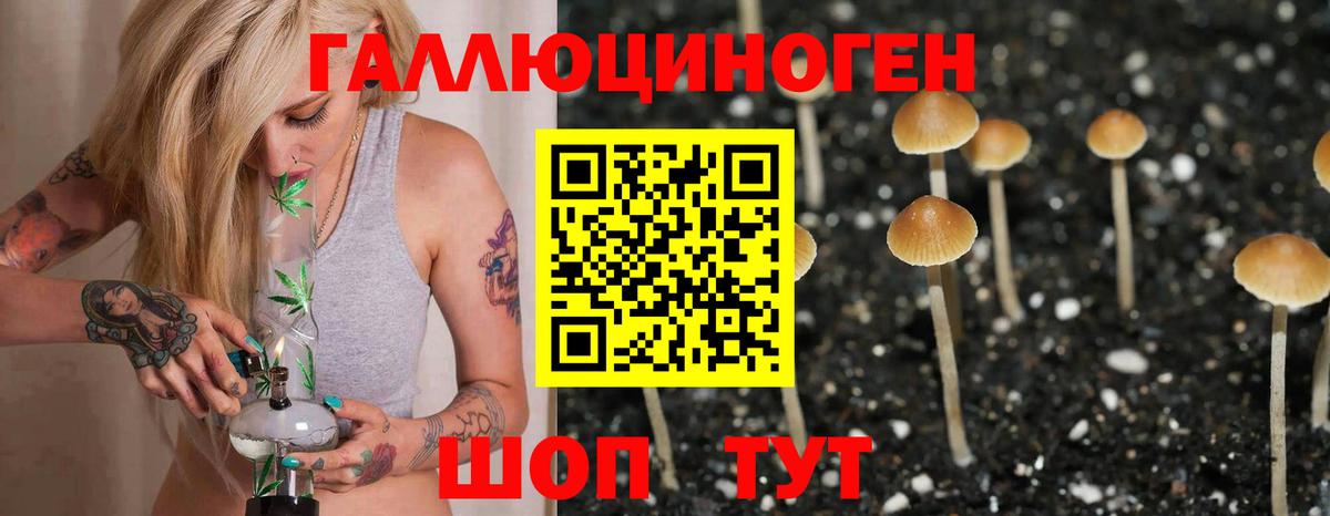 Псилоцибиновые грибы GOLDEN TEACHER Волхов